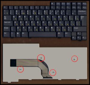 Купить Клавиатура для ноутбука IBM/Lenovo Z31  - доставка по всей России